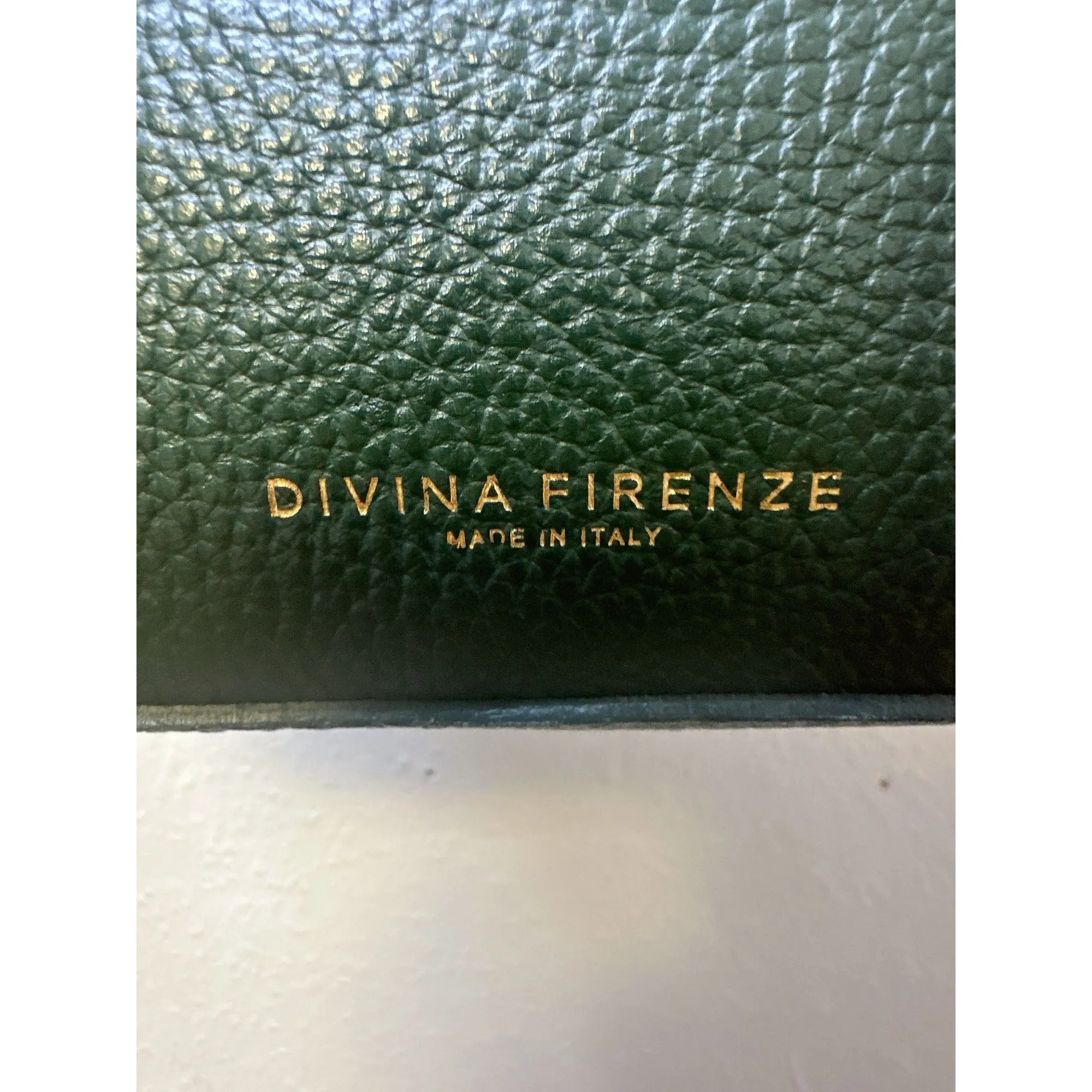 Divina Ferenze Two-Tone Green & Brown Faux Leather Backpack w/Magnetic Snap Pocket & Adjustable Straps