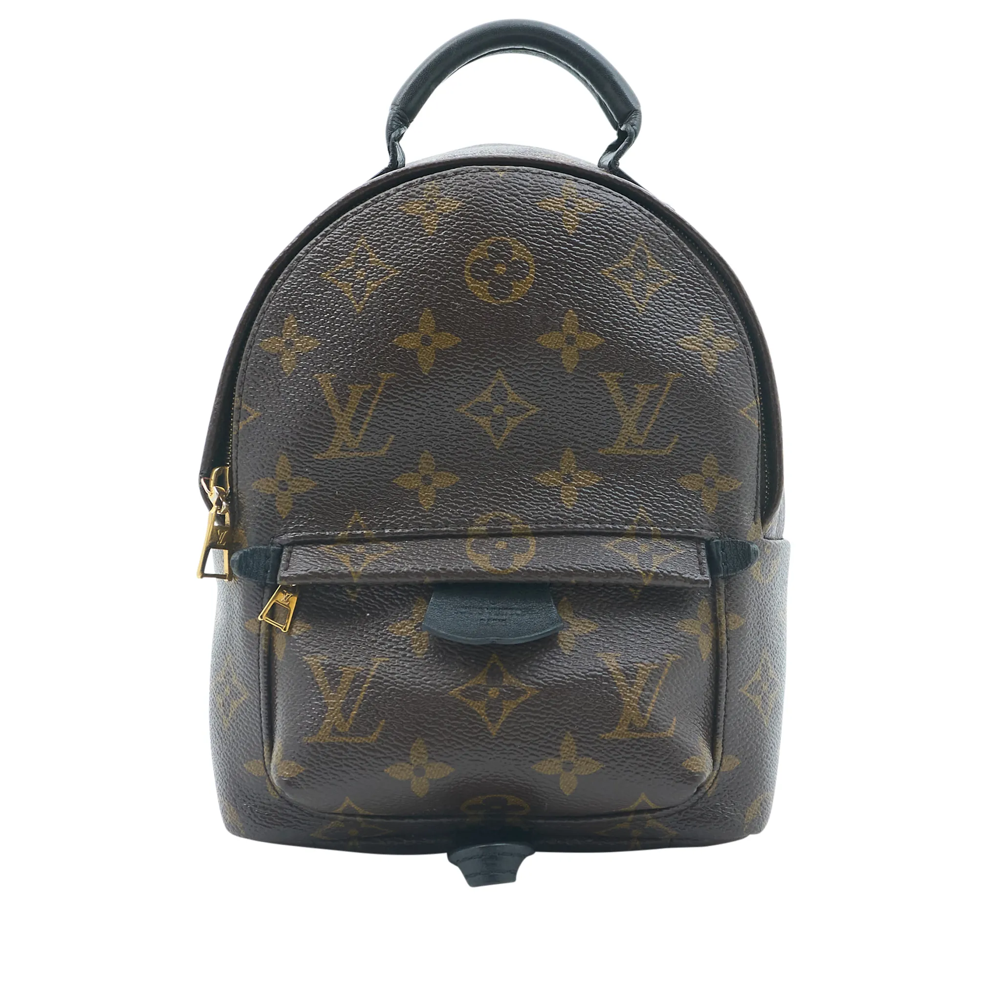 Louis Vuitton Palm Springs Mini Backpack