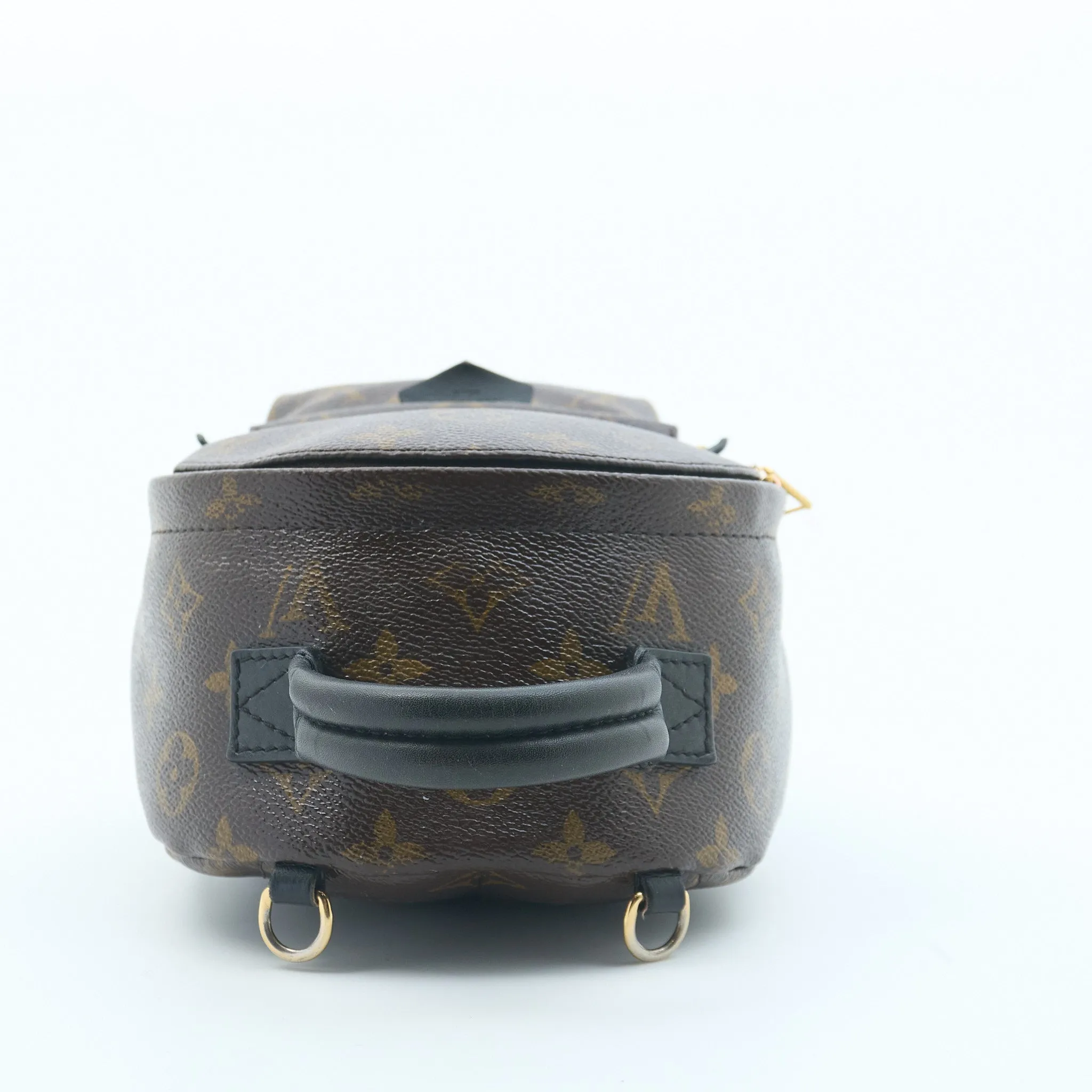 Louis Vuitton Palm Springs Mini Backpack
