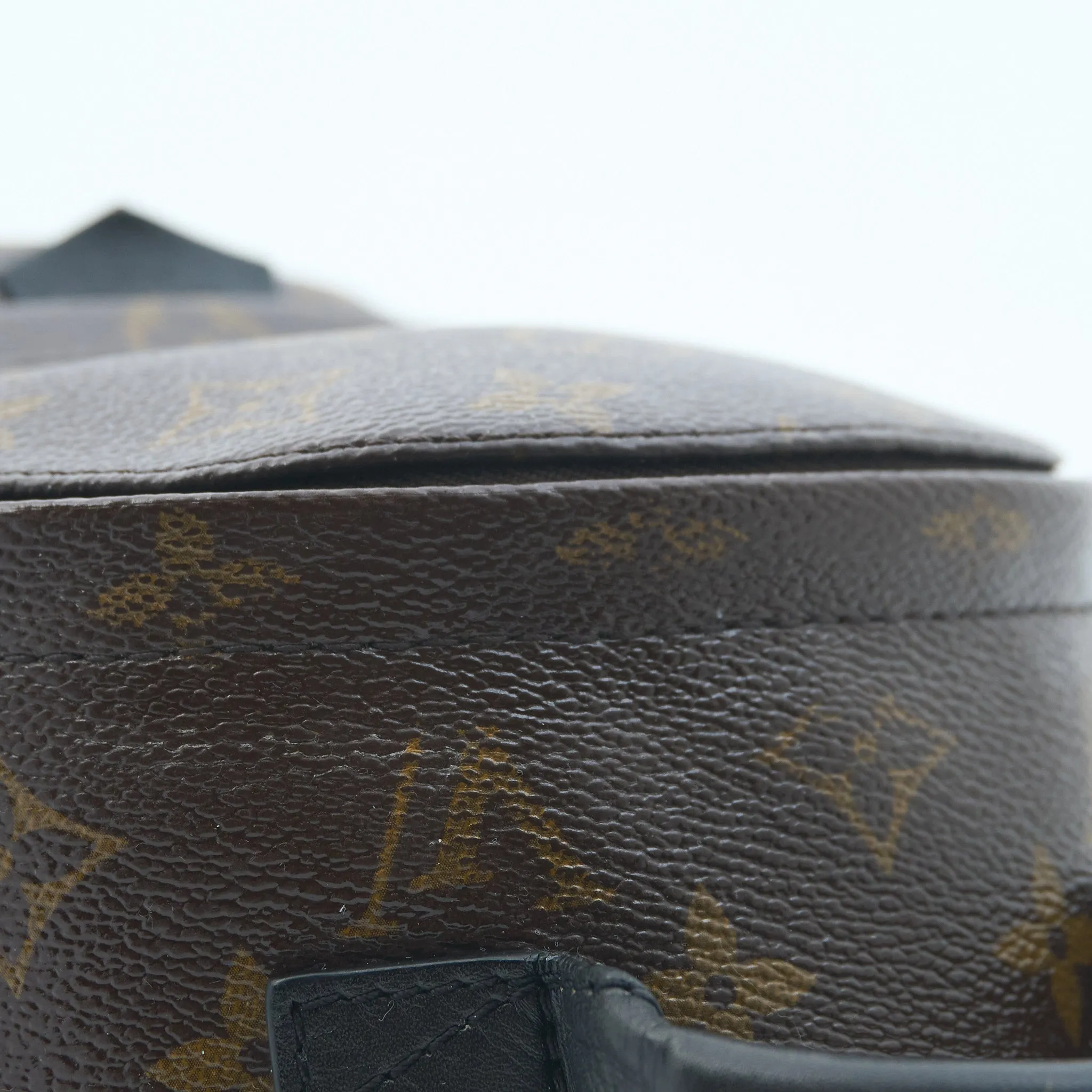 Louis Vuitton Palm Springs Mini Backpack