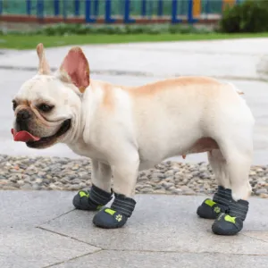 PupLuxe Frenchie Booties with Reflective Straps