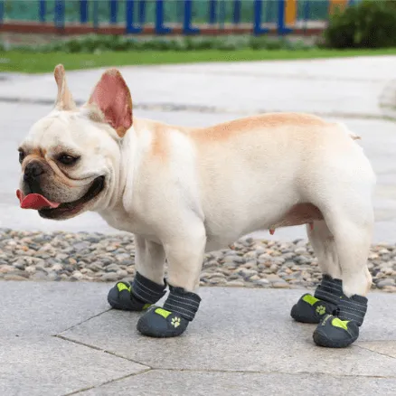 PupLuxe Frenchie Booties with Reflective Straps