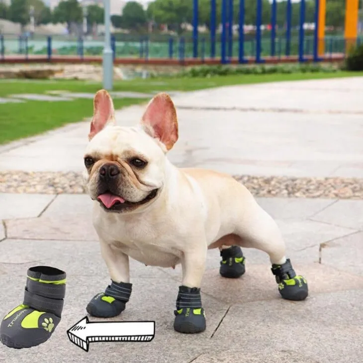 PupLuxe Frenchie Booties with Reflective Straps