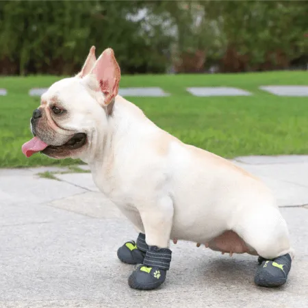PupLuxe Frenchie Booties with Reflective Straps